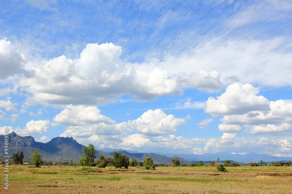 Green Paddy Field Under Blue Sky With Hills Behind the Scene