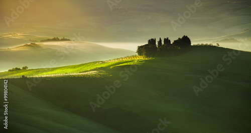 Warm Rays of Light Falling onto Green Tuscan Field, Foggy Summer Landscape
