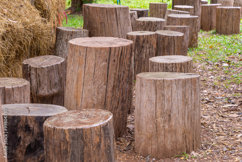 Stumps used as chairs outside in the garden