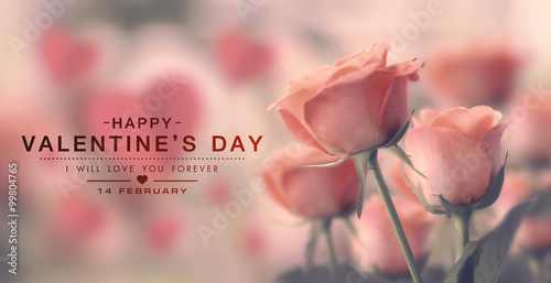 Happy valentine day, fine daisy color tone design, Blur and Select focus background photo