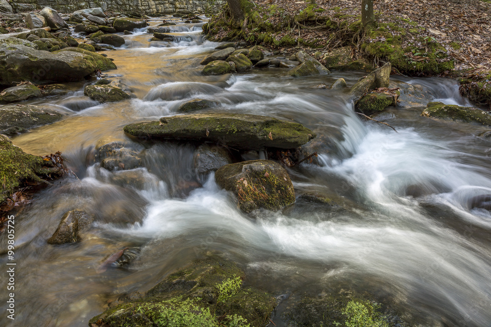Stream Winding Through a Forest - Tennessee Stream Winding Through a Forest - Tennessee