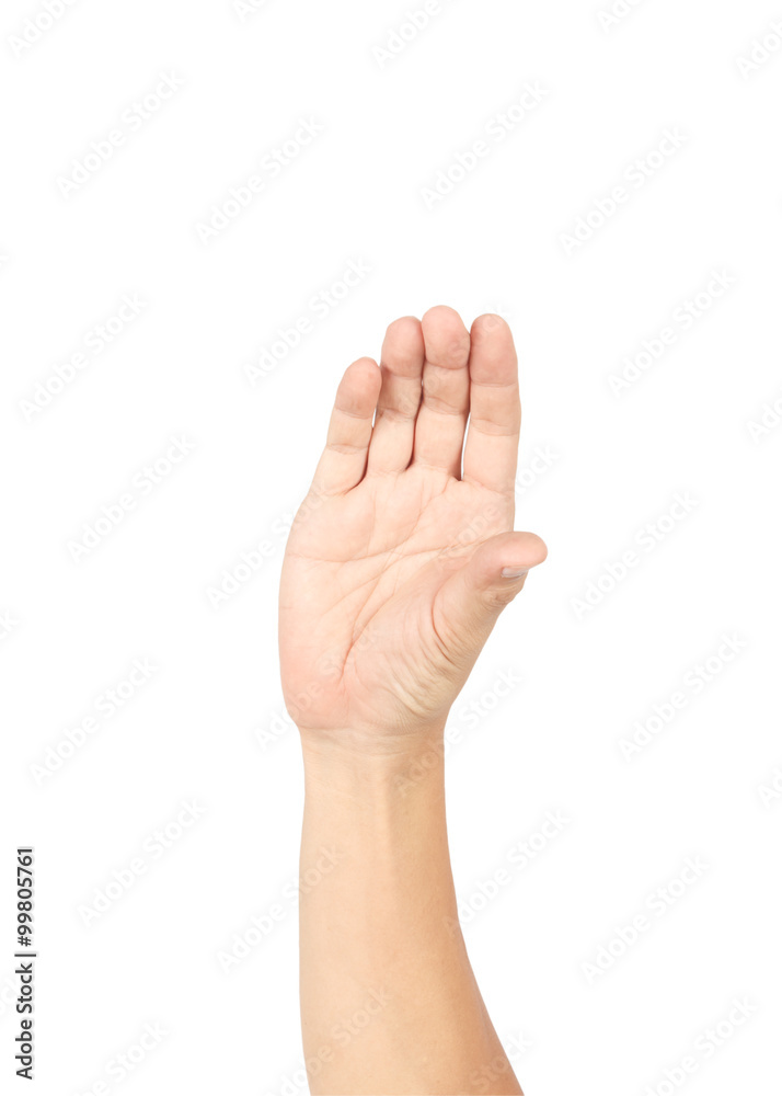 Hand isolated on white background with clipping path Hand isolated on white background with clipping path