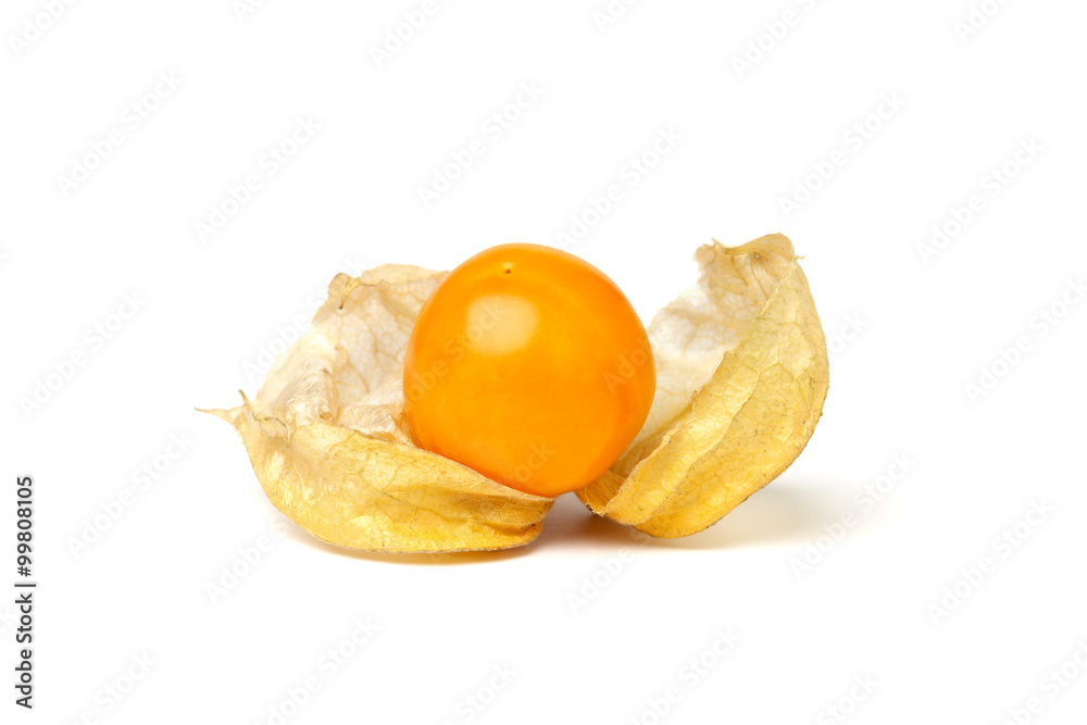 cape gooseberry physalis fruit ground cherry organic food vegetable cape gooseberry physalis fruit ground cherry organic food vegetable