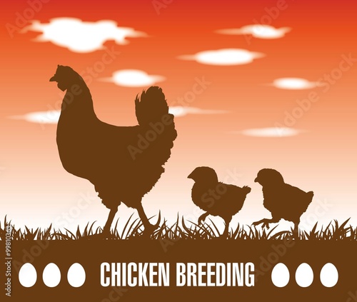 hen and chickens