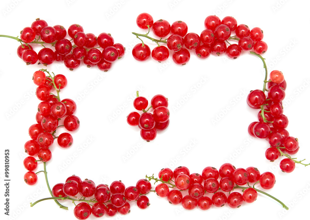 red currants on a white background red currants on a white background
