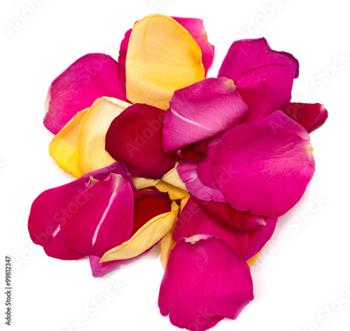 petals of red and yellow roses on a white background
