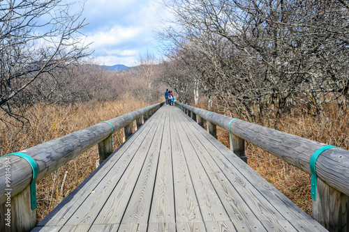 Wooden pathway at senjogahara moor , Nikko in Japan