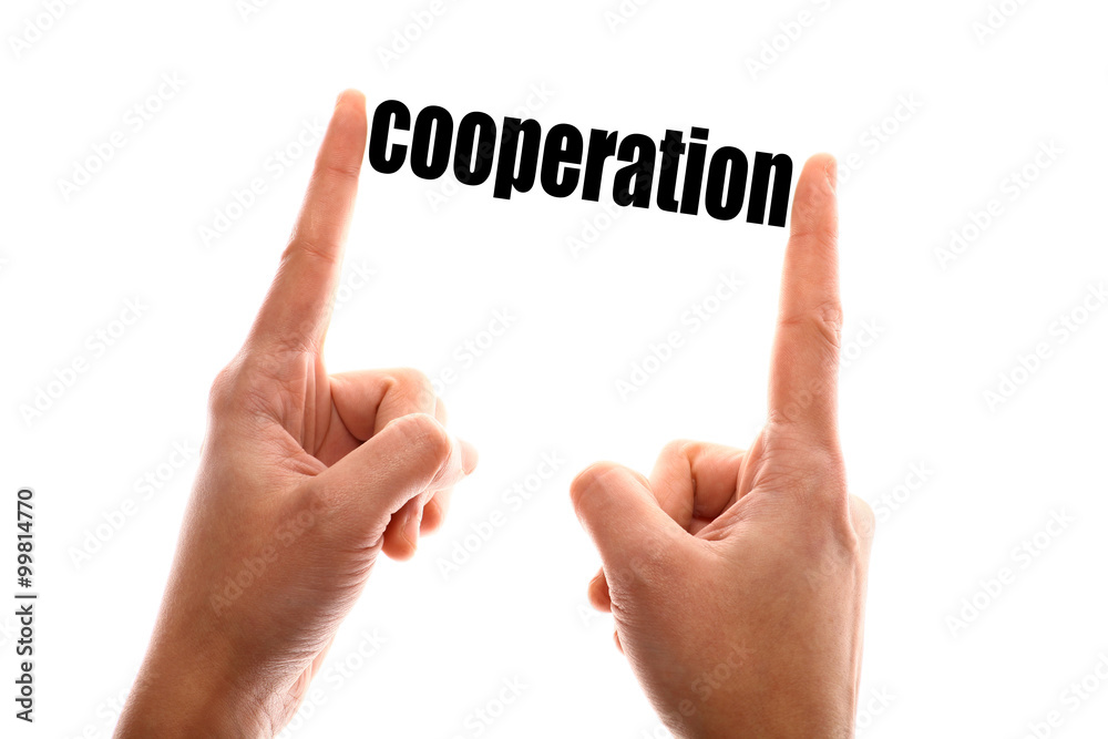 Smaller cooperation concept Smaller cooperation concept