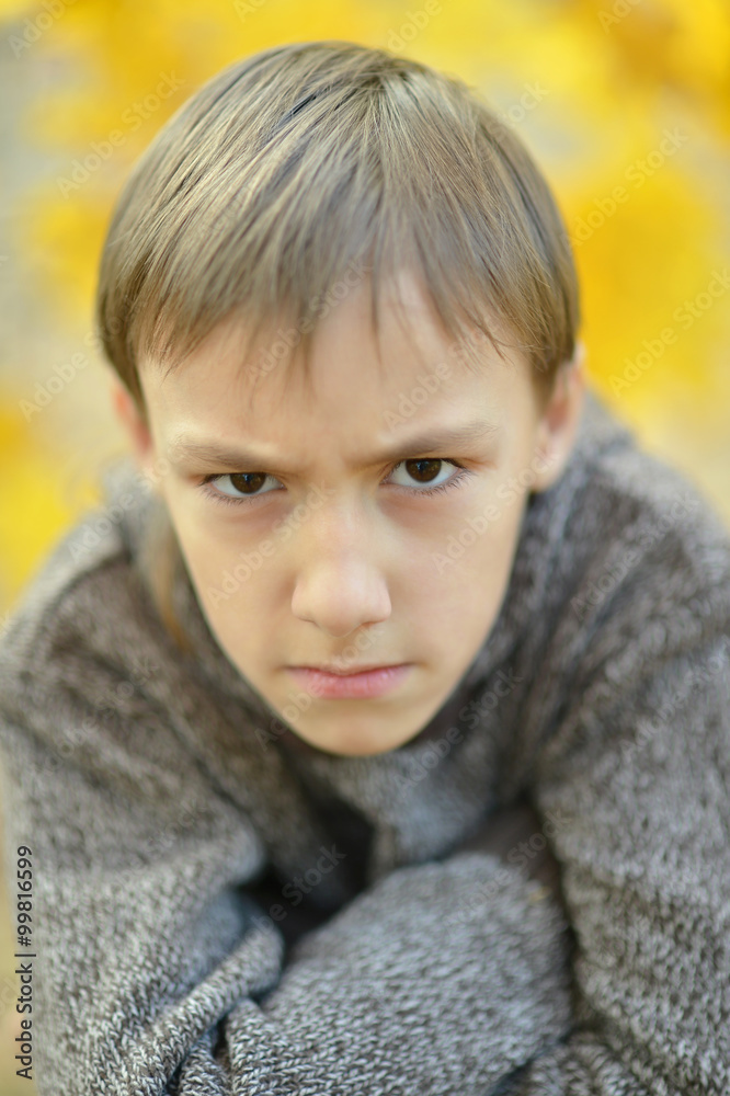 Little sad boy in park