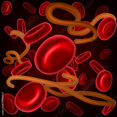 Ebola and Blood Cells