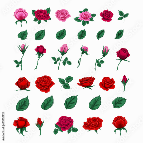 Set of Beautiful Roses. Flowers and Leaves