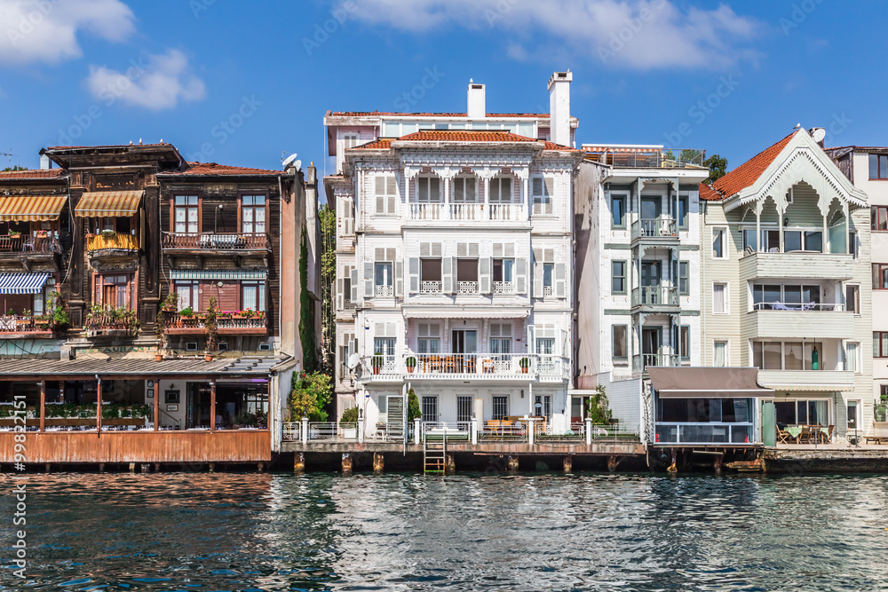 Naklejka premium Houses Along the Bosphorus