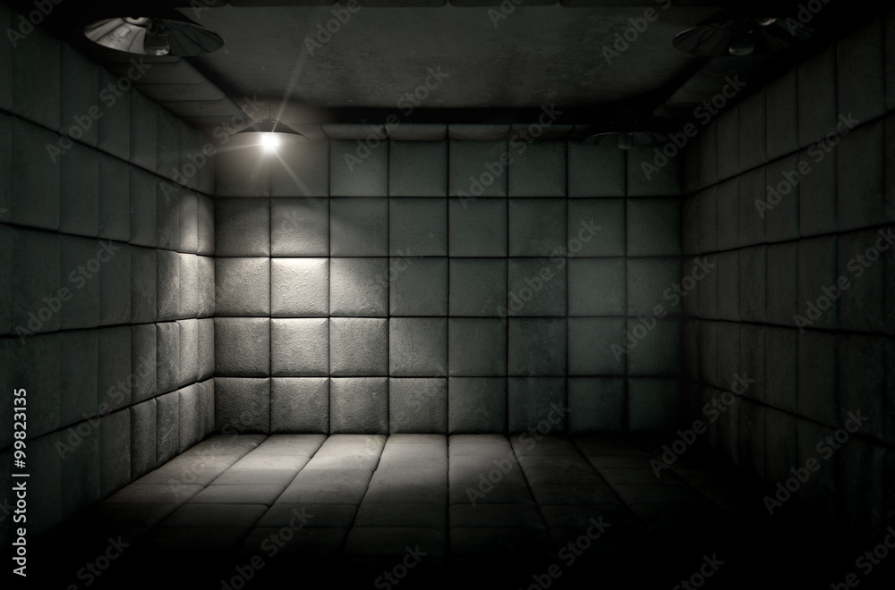 Padded Cell Dirty Padded Cell Dirty