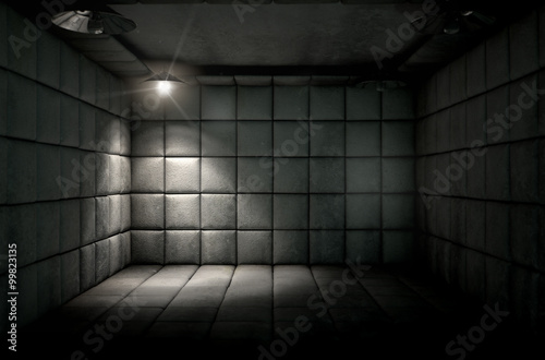 Padded Cell Dirty