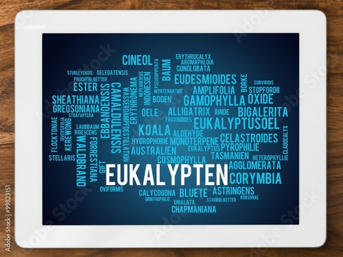 Eukalypten photo