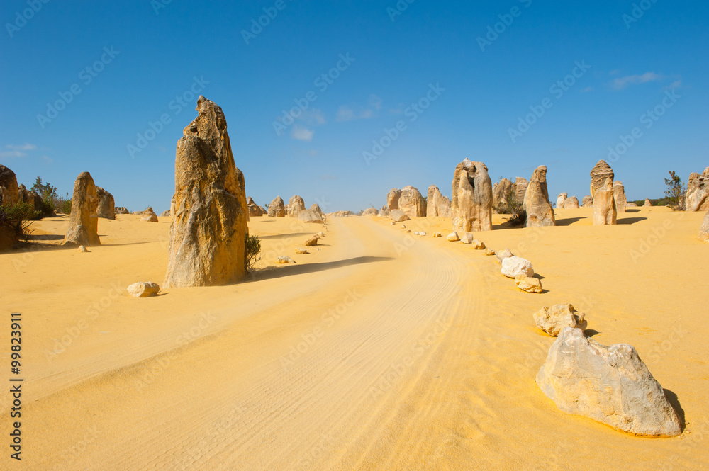 Pinnacles desert outback Australia Pinnacles desert outback Australia