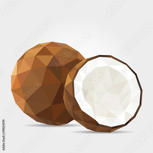 Polygonal Coconut in Vector