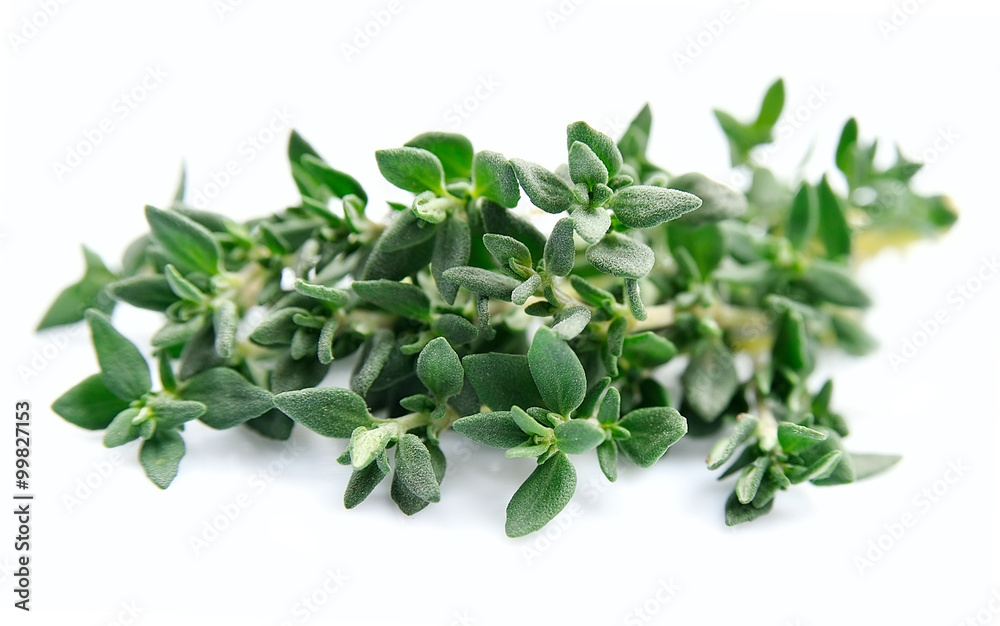 Thyme herbs