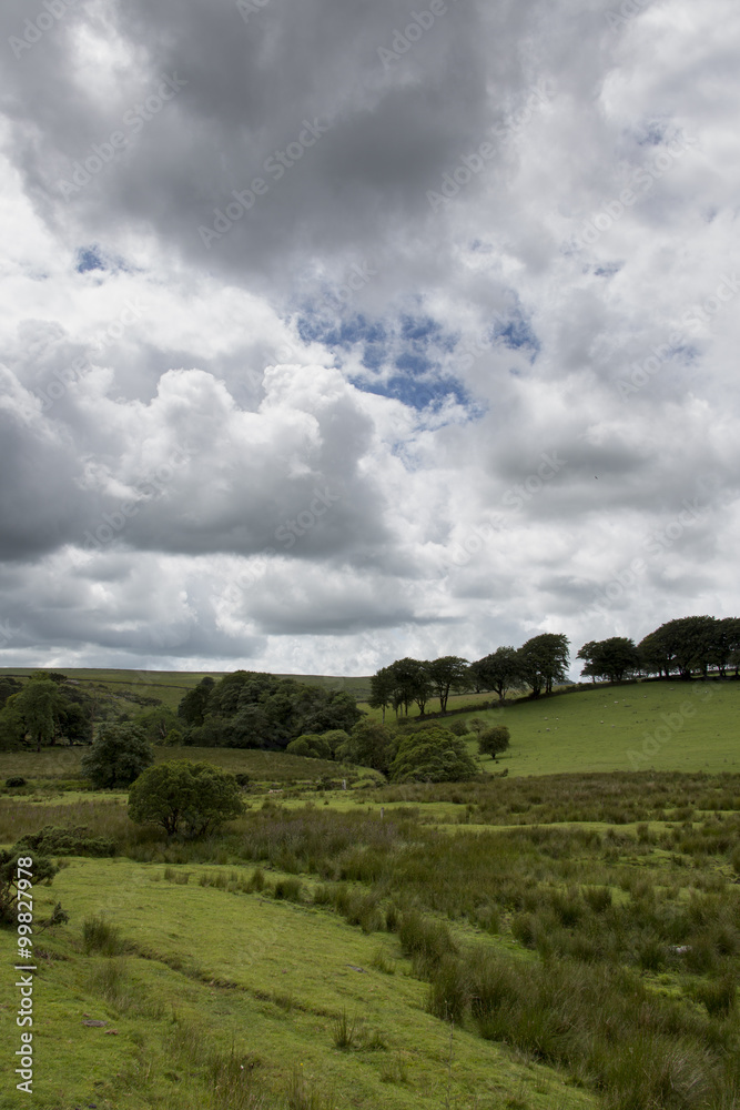 Obraz premium Dartmoor