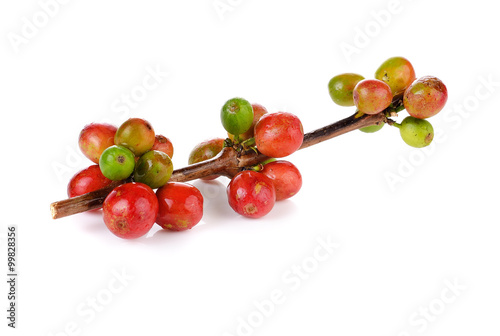 Coffee cherry isolate on white background