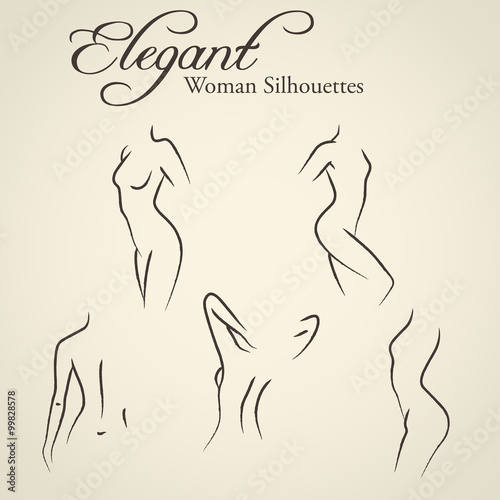 Elegant woman silhouettes