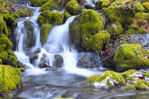 Mountain stream among the mossy stones