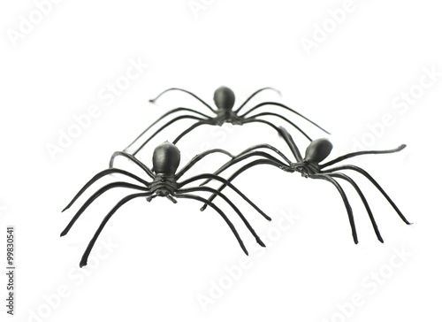 Rubber spider toy isolated