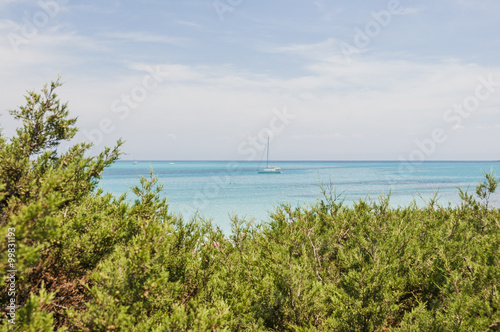 Stintino  Dorf  Mittelmeer  Mittelmeerk  ste  K  ste  La Pelosa  Sandstrand  Strand  Badeferien  Sommerferien  Sommer  Insel  Sardinien  Italien