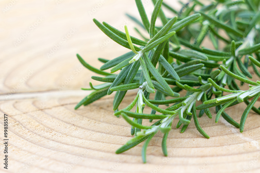 fresh rosemary (rosmarinus officinalis) fresh rosemary (rosmarinus officinalis)