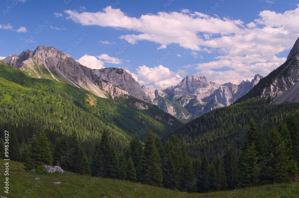 Summer view of the Alps near Sappada, Veneto, Italy
