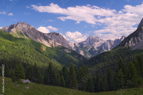 Summer view of the Alps near Sappada, Veneto, Italy 