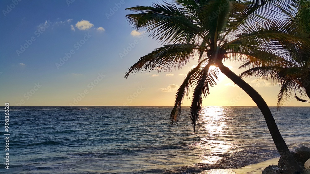 Sunrise and palm tree on the beach