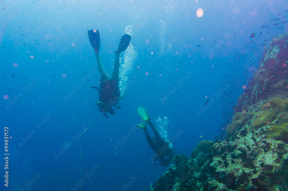 Diver blue water scuba diving at Shark island of Koh tao Diver blue water scuba diving at Shark island of Koh tao