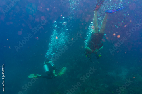 Diver blue water scuba diving at Shark island of Koh tao