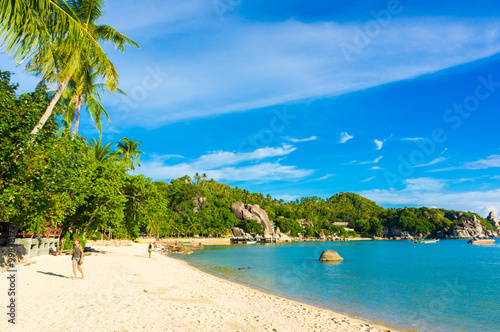 Beautiful island beach with coconut tree at Koh Tao