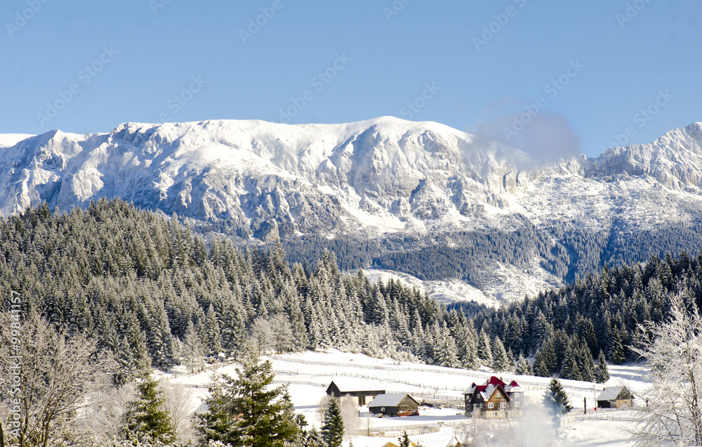 Mountain landscape in winter with snowy trees in sunny day