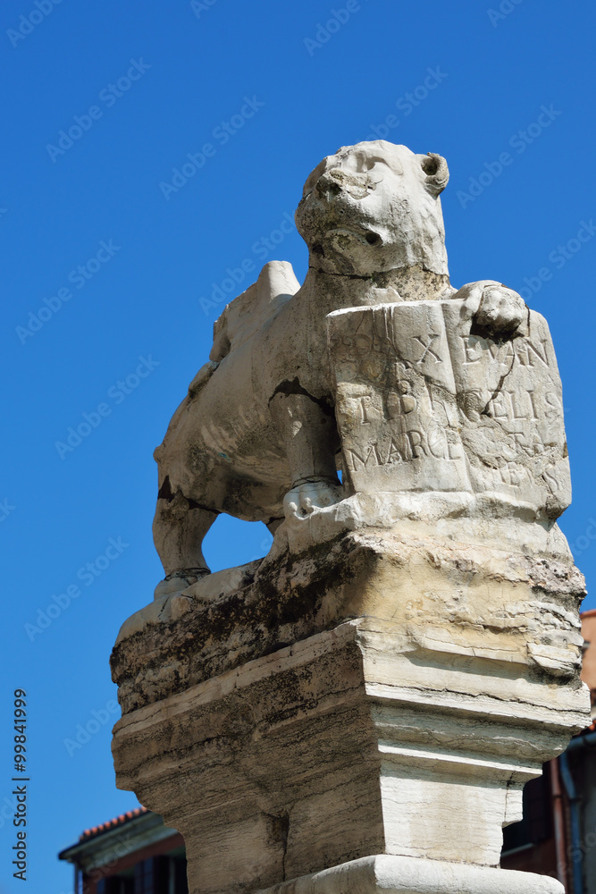 Obraz premium Venetian winged lion