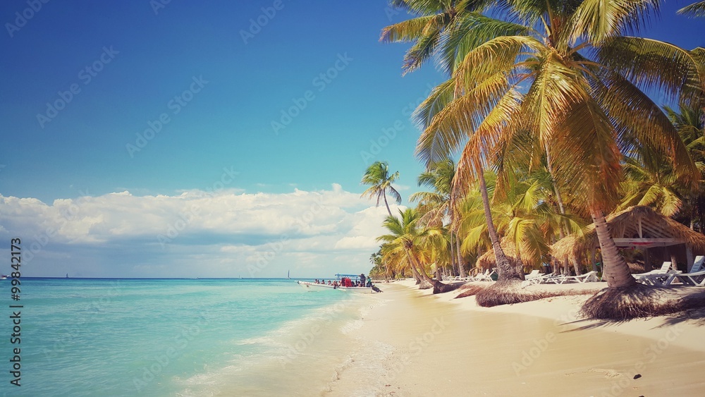 Obraz premium Saona island, Dominican Republic