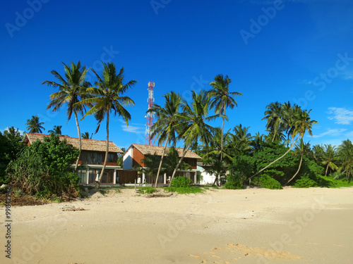 House between palm trees at the beach