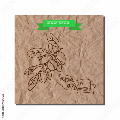 Hand drawn argan, branch sketch