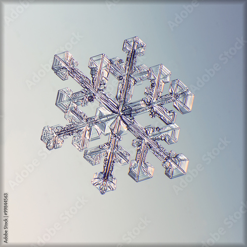 real snowflake