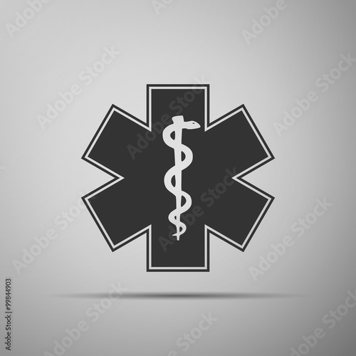 Medical symbol of the Emergency - Star of Life icon.