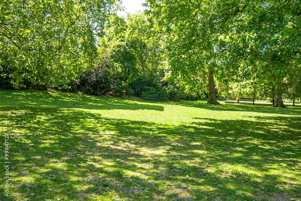 Young people is resting on the grass St. James's Park in London. Young people is resting on the grass St. James's Park in London.