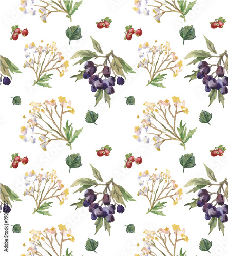 Hand-drawn vector watercolor background of rosehips and hawthorn