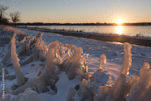 Rows of plants covered in ice from the spray of water off the lake.  The ice begins to glow from the last light at the end of the day.