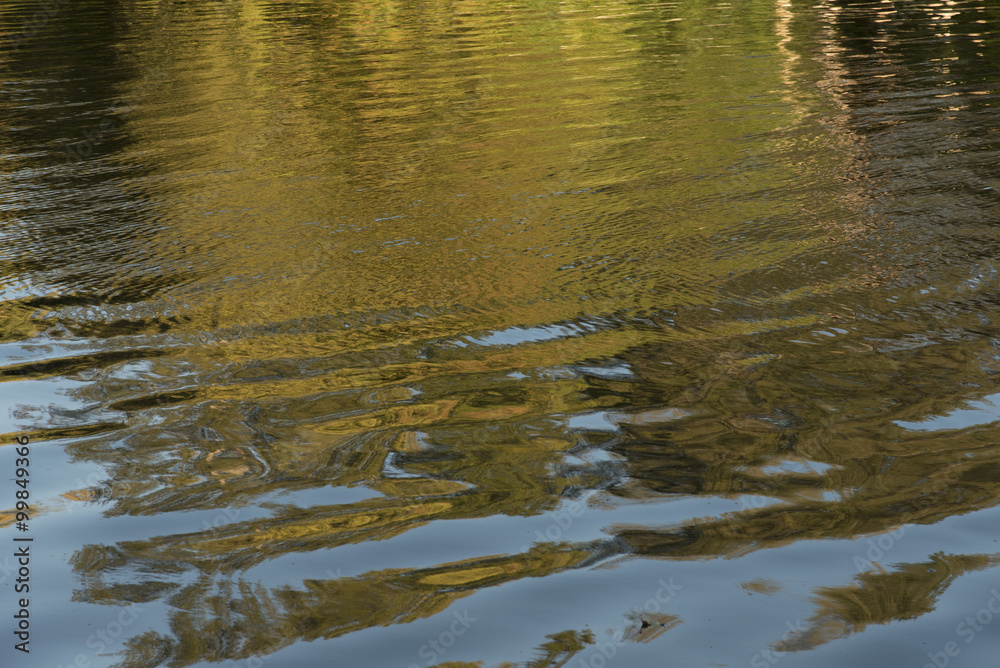 Fototapeta premium Yellow Reflection in the River