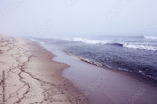 Misty beach in Wellfleet, Massachusetts on Cape Cod. photo