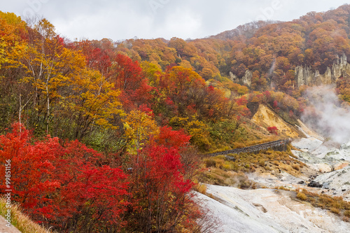 autumn at Jigokudani hell valley, Hokkaido, Japan