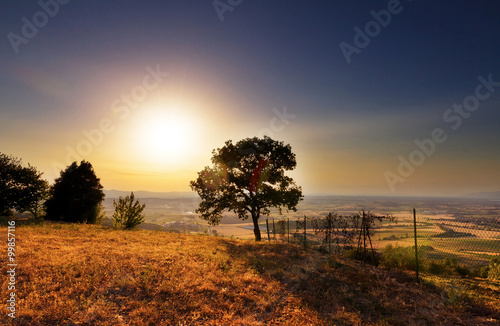 Beautiful tuscan landscape in late summer in Italy