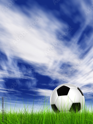 Conceptual 3D soccer ball in field grass with a  sky background © high_resolution